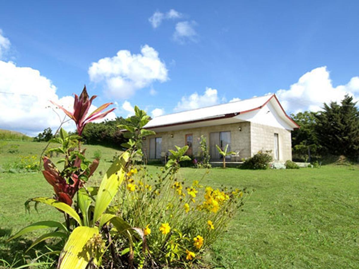 Cabanas Honu Nui Villa อังกาโรอา ภายนอก รูปภาพ
